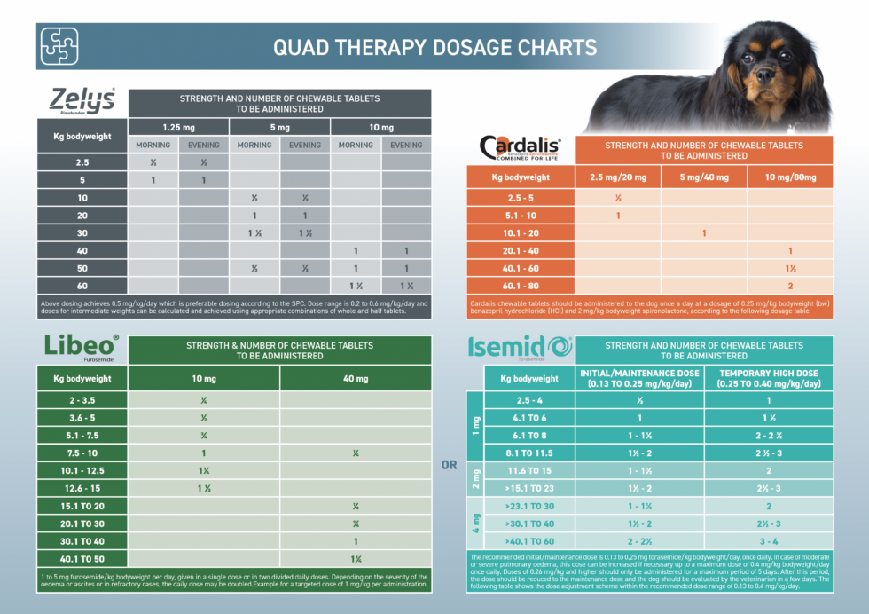 Digital-overview-guide - Ceva - Ease The Pressure